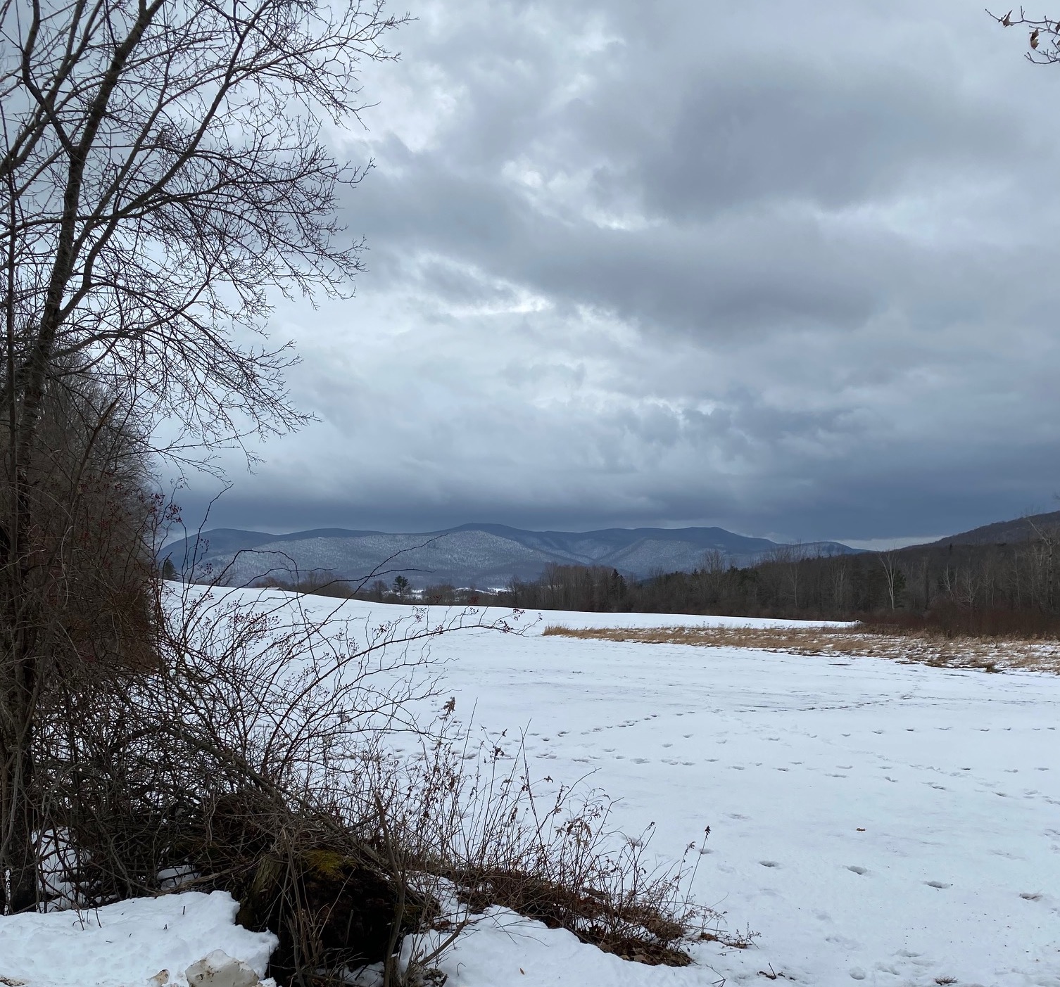 Snowy view of the Purple Mountains
