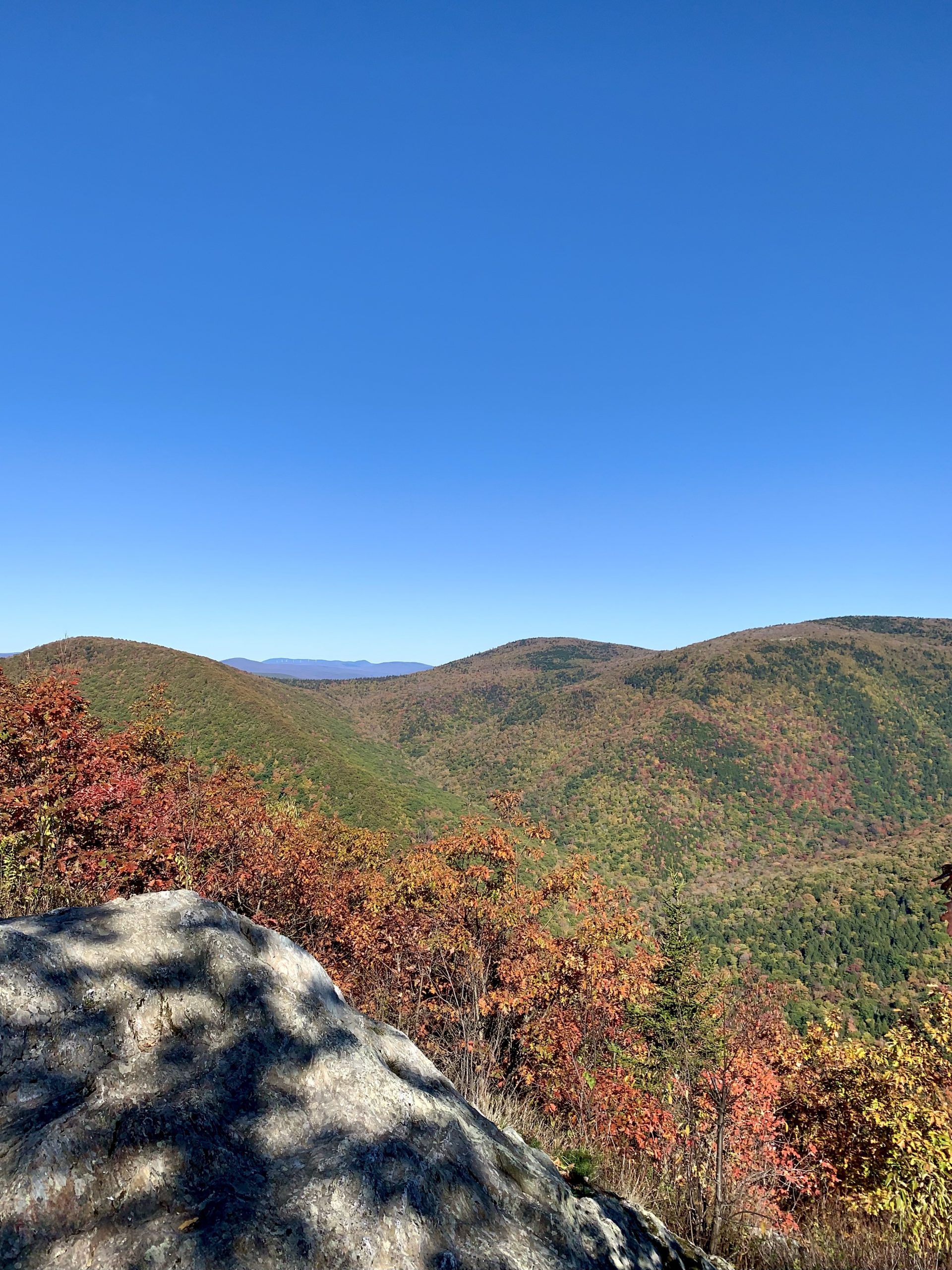 IMG_4308 photo of a fall foliage scene with mountains and blue sky
