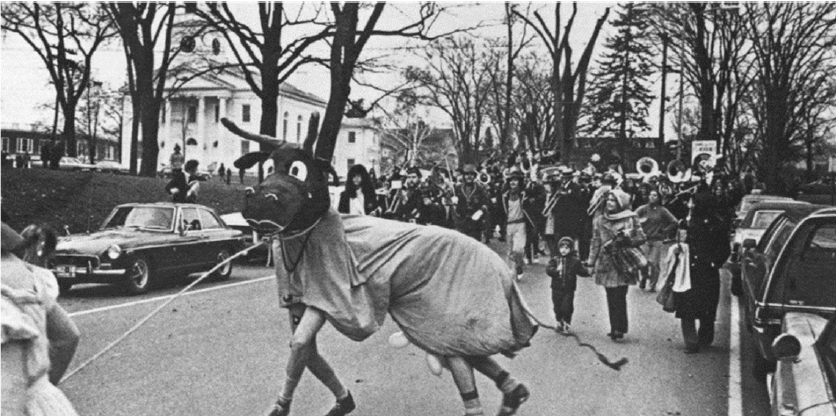 cow on springstreet cow on springstreet