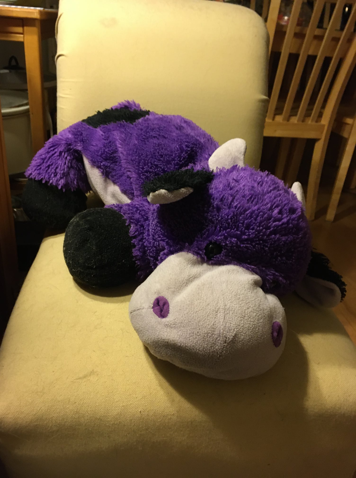 Sad Stuffed Cow