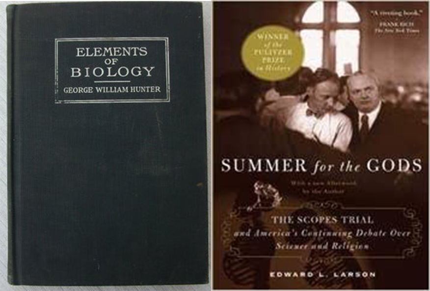 books books