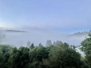 IMG_9084