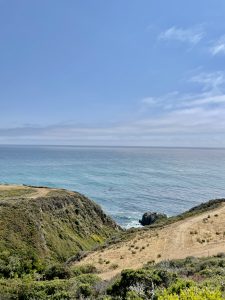 IMG_9154