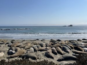 IMG_9162