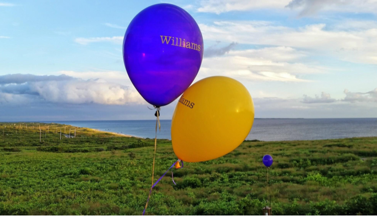Ephs on the Vineyard Purple and Yellow Balloons with Beach Background