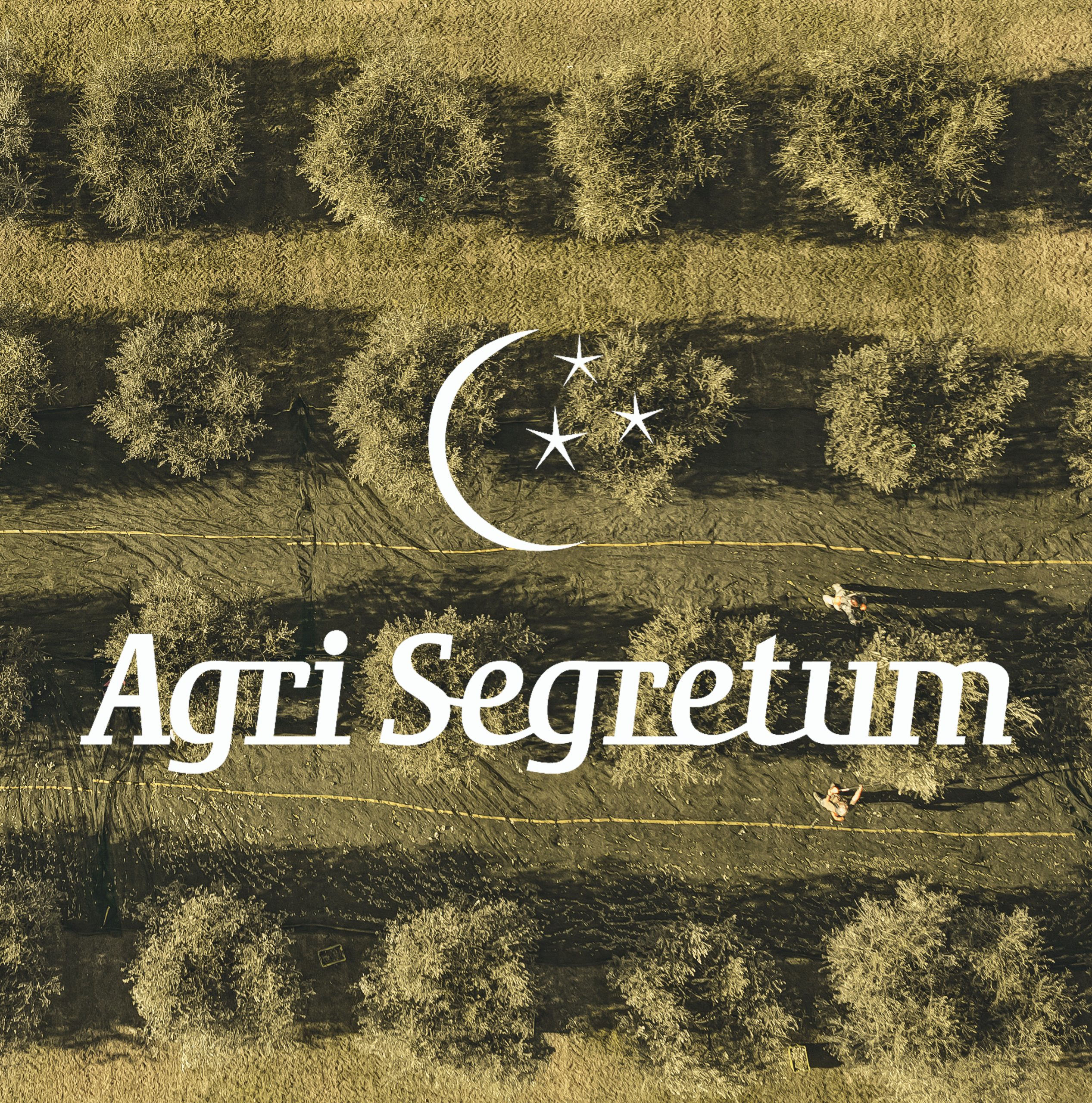 agrisegretum-eileenholland2