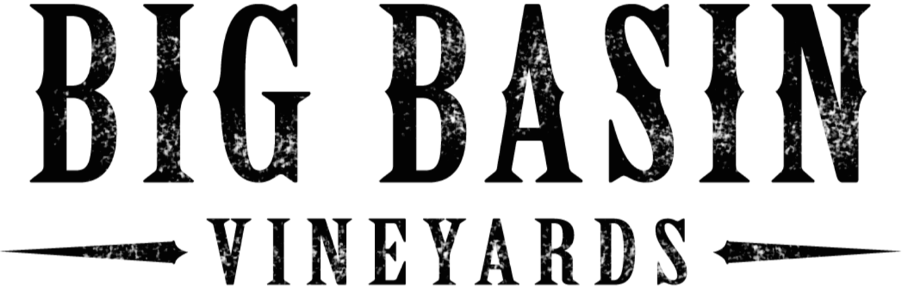 bigbasinvineyards-wendybrown